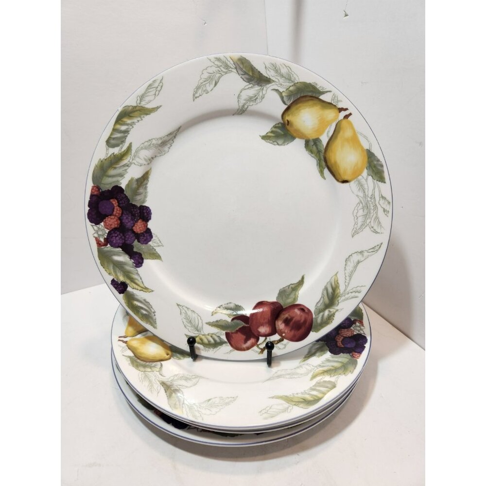 Todays Home Stoneware Fruit Dinner Plates 10.5" Set of 4 Red Green Yellow Purple